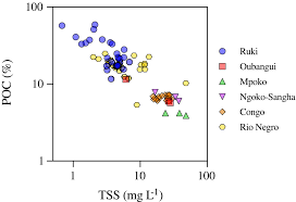 Image result for Sterculia subviolacea