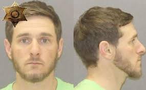 Deputies seize heroin, needle in Livonia