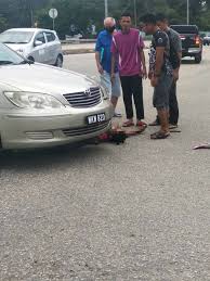 We did not find results for: Info Semasa Pahang 04 06 2020 Kemalangan Melibatkan Facebook