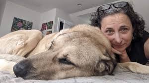 About — Lucy Lyons Design