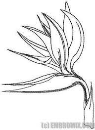 12 Tremendous Ribbon Flowers Red Roses Embroidery Ideas In 2020 Flower Drawing Birds Of Paradise Flower Birds Of Paradise