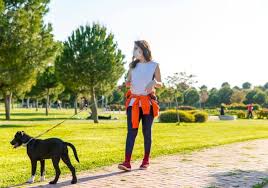 Le chien doit secouer une corde, alors que vous la tenez aussi. Ou Et Quand Promener Son Chien Pendant Le Confinement Emmene Ton Chien