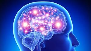Learn about alzheimer's disease symptoms such as memory loss and senile dementia. All The Myths You Need To Know About Alzheimer S Disease