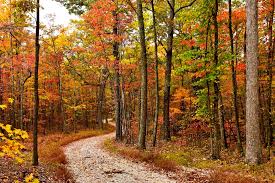 Phone number is for the management unit. Kanawha State Forest West Virginia State Parks West Virginia State Parks