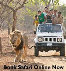 Book Safari Online Now National Park Tours Gir Forest Wildlife Safari