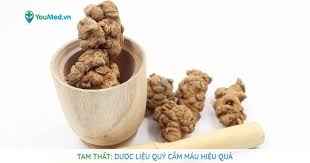 Tam thất: Dược liệu quý cầm máu hiệu quả - YouMed