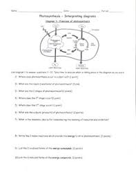 Photosynthesis, show that starch and oxygen are produced during photosynthesis, show that carbon dioxide, water, sunlight and chlorophyll are needed for photosynthesis, a series of free science. Photosynthesis Worksheet Hs Ls1 5 By Mrs Bartletts Science And Health Corner