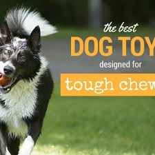 These all fit into this class because they can easily be tossed, thrown, chased or used for a game of tug of war. 5 Best Chew Toys For Pit Bulls 2021 Reviews
