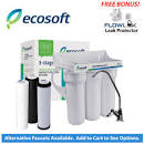 Ecosoft