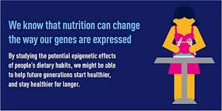 Epigenetics The Study Of Junk Genes Has Made Science Realize They Actually Regulate The Genes Themselves Human Life Inventory Audit And Origin Pinte