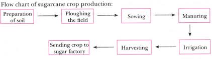 Arrange The Following Boxes In Proper Order To Make A Flow