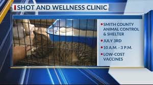 Enjoying the love that you share with your pet. Shot And Wellness Clinic For Cats Dogs In Tyler This Weekend Ketk Com Fox51 Com