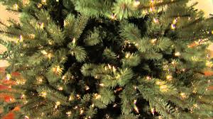 Switch between all clear, all color, or both clear and color lights with the touch of a button. Colorado Blue Spruce Artificial Christmas Tree Youtube