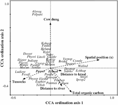 Image result for Courtoisina assimilis