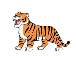 How To Draw A Cartoon Tiger Tiger Cartoon Illustration Howtodraw Cartoon Tiger Tiger Pictures Tiger Cartoon Drawing