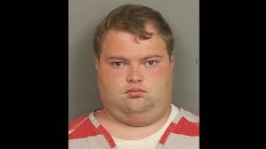 Alabama Cub Scout volunteer gets 20 years for sexually abusing child