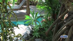 Placid Pools Bringing A Touch Of North Queensland Lifestyle To You Your Family And Friends Tropical Pool Pool Designs Swimming Pools