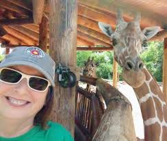 Trip Advisor Colorado