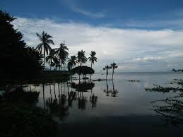 Pedro Aragon Cardenas