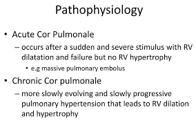 Image result for Cor Pulmonale