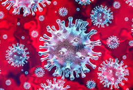 Suggest as a translation of comité de concertation copy Le Barometre Au Menu D Un Comite De Concertation Vendredi Medi Sphere