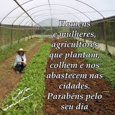 O agricultor é o profissional que trabalha com a agricultura. 25 De Julho Dia Do Agricultor Frase Homens E Mulheres Agricultores Que Plantam Dia Do Agricultor Agricultor 25 De Julho