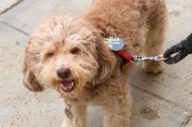 Historic Strike Comes to an End — The