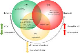 Frontiers Fecal And Mucosal Microbiota Profiling In