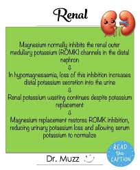 Image result for Potassium Replacement
