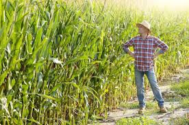 Prowadzenie firmy i działalność rolnicza, a rozliczenie podatku VAT