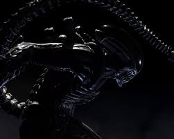 Predator gameplay matches fatality, brutality, x ray and. Tarkatan Xenomorph Xenopedia Fandom