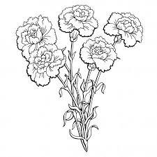 Carnation Flower Graphic Black White Isolated Bouquet Sketch Illustration Vector Stock Illustration Flower Line Drawings Vector Flowers Flower Graphic