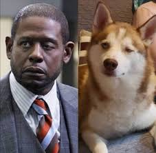 Don't know why I always found this picture of Mike hysterical...it's like  he's mocking Forester through the photo. :)