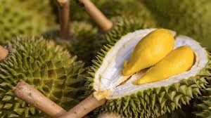 Bagi penderita diabetes atau yang beresiko terkena diabetes, disarankan untuk makan durian dalam jumlah sedang. Kenapa Melayu Suka Lagakan Durian Dengan Timun Ajar