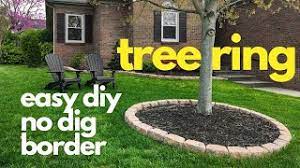 Diy inexpensive landscape border ideas. Easy Diy No Dig Border Tree Ring Youtube