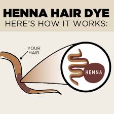 How Henna Cassia Make Ginger Blonde Henna Color Lab Henna Hair Dye Henna Hair Henna Hair Color Henna Color