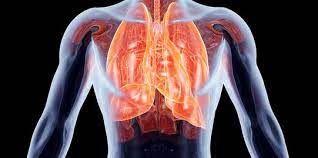 We did not find results for: Mengenal Penyebab Paru Paru Basah Dan Cara Efektif Untuk Mencegahnya Merdeka Com