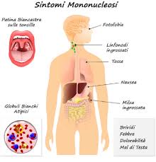 It is spread through direct contact with the saliva of an infected person, which has earned it the nickname. Il Virus Di Epstein Barr Ebv Che Cos E Laboratorio Analisi Lepetit