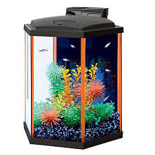 Aqueon Neo Glow Hexagon Starter Kit Fish Starter Kits Petsmart Aquarium Kit Betta Fish Betta Fish Tank