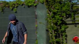 Nollie Hardflip Rewind Tim Pool Shortsided Download Share Directly To Facebook Twitter Instagram Pinterest Reddit Wha Skateboard Skateboards Nollie