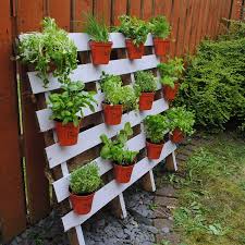 7 Ideas Para Crear Un Jardin Vertical De Una Manera Simple Y Economica Consejos Para Mi Huerto