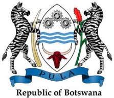 Image result for Jatropha botswanica