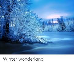 Winter Wonderland Winter Meme On Esmemes Com