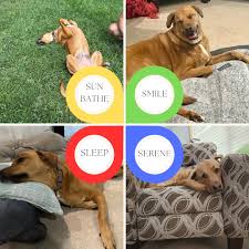 😁 Happy #TeeferTuesday! Look at Walter's precious smile with those bottom  #teef