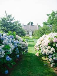 Martha S Vineyard Guide My Favorite Places Lucy Cuneo Marthas Vineyard Vineyard Photography New England Style Homes