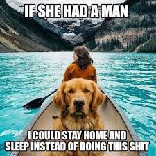 20 Hilarious Animal Memes For Your Sunday I Can Has Cheezburger See more ideas about sunday images, knitting, knitting inspiration. hilarious animal memes for your sunday