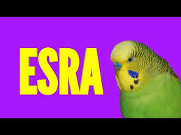 Esra Kusun Senin Adini Soylesin Muhabbet Kusu Konusturma Egzersizi Ses Kaydi Youtube