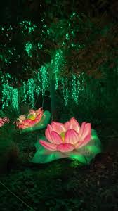 Happy New Year #happynewyear #lightexhibit #nye #wildlights #lightsatthezoo