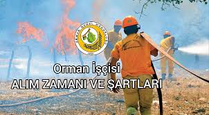 1839 yılında temelleri atılan tarım ve orman bakanlığına bağlı orman genel müdürlüğü 40 bini aşkın çalışanı ile hem vatanımızda hem de dünyada yaşayan tüm canlılara daha fazla nefes olabilmek için. Orman Genel Mudurlugu Nun Isci Alimina Iliskin Ilani Yayimlandi Tarim Ve Orman Bakanligi Www Obmhaber Com