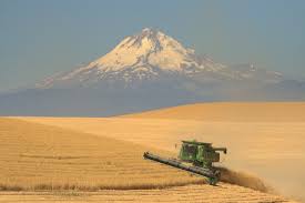 The fcic promotes the economic stability of agriculture through a sound system of crop insurance. What Is Crop Insurance Haightcropinsurance